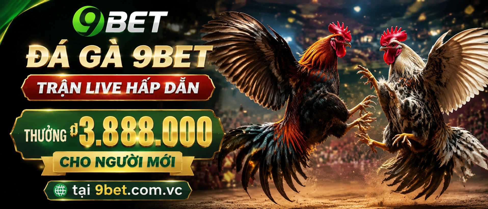 Đá Gà trực tiếp trên 9bet với giao diện phòng live rõ ràng